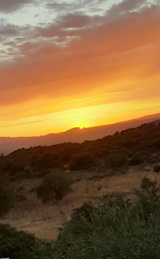B&B Valverde Dorgali Dış mekan fotoğraf