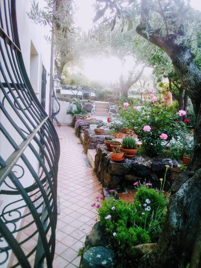 B&B Valverde Dorgali Dış mekan fotoğraf