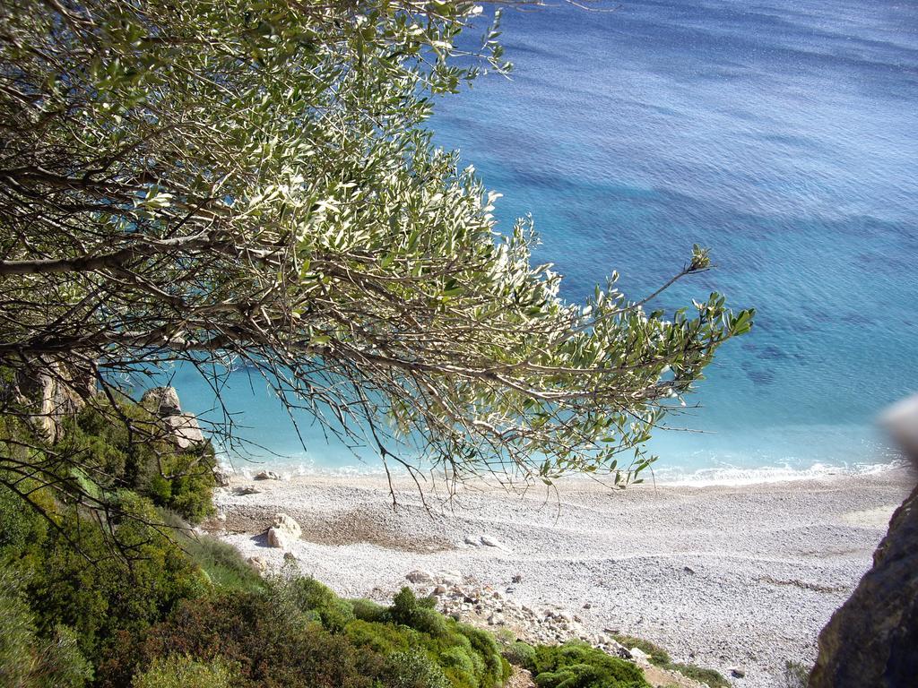 B&B Valverde Dorgali Dış mekan fotoğraf